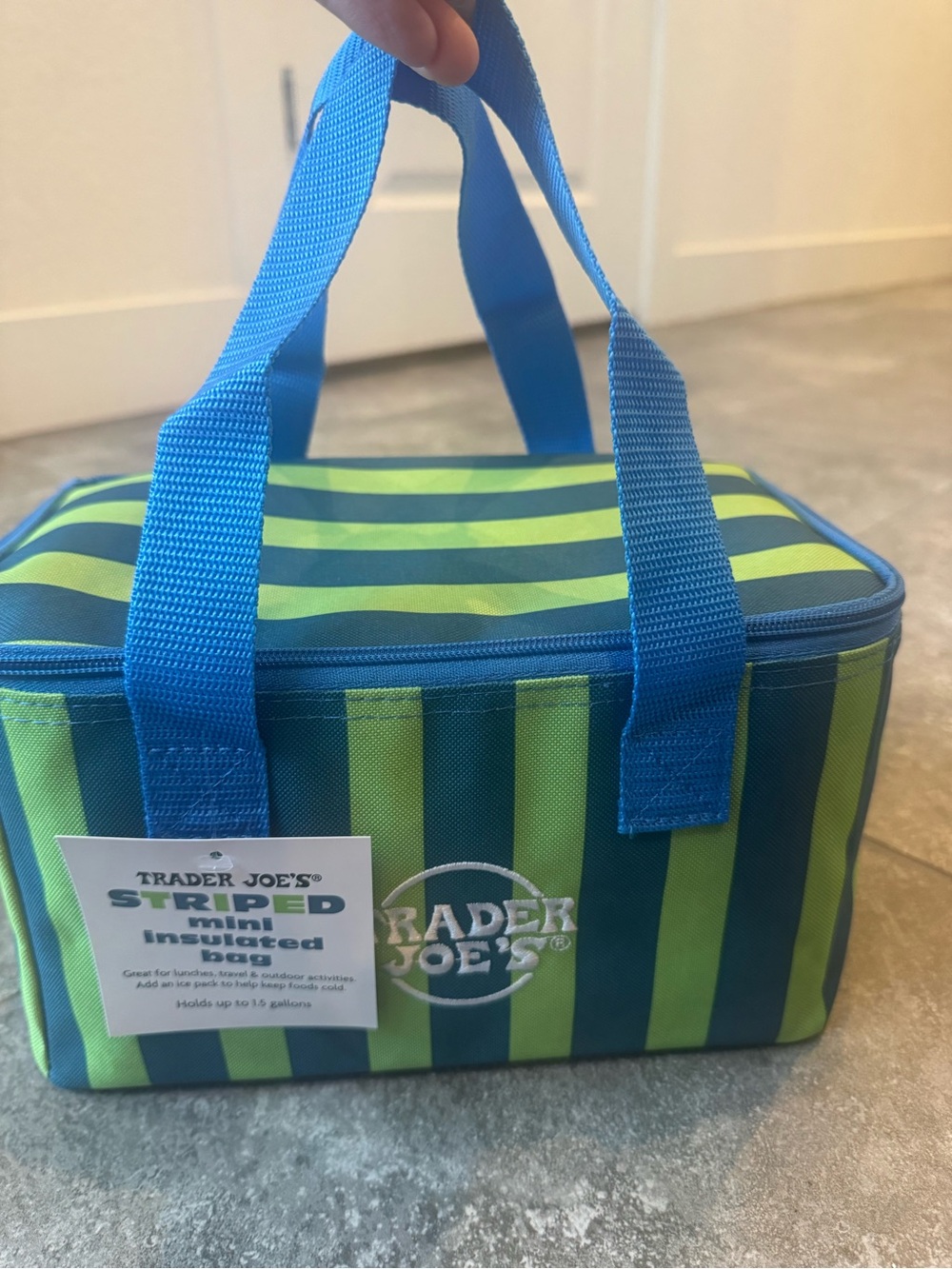 Trader Joe’s stripped blue green colorful mini insulated bags NEW